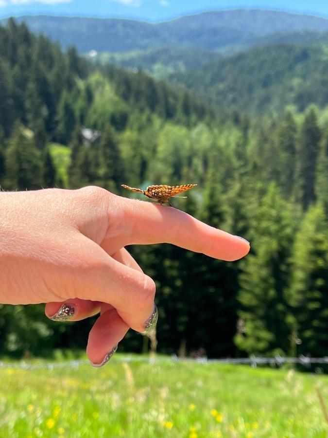 Nova VarošZlatar Reset公寓 外观 照片